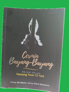 Cermin Bayang-Bayang: Refleksi Puisi Nunung Noer El Niel, Segera Diluncurkan